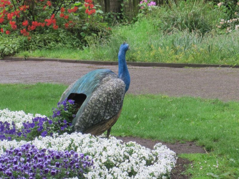 Vogelpark Walsrode