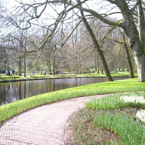 keukenhof799